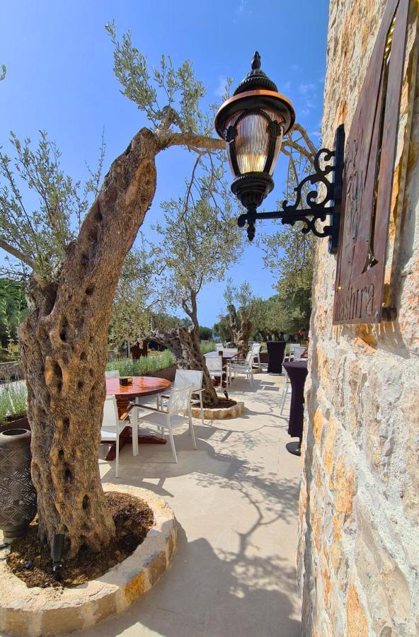 Отель Mashtra - The Olive House Улцинь Экстерьер фото